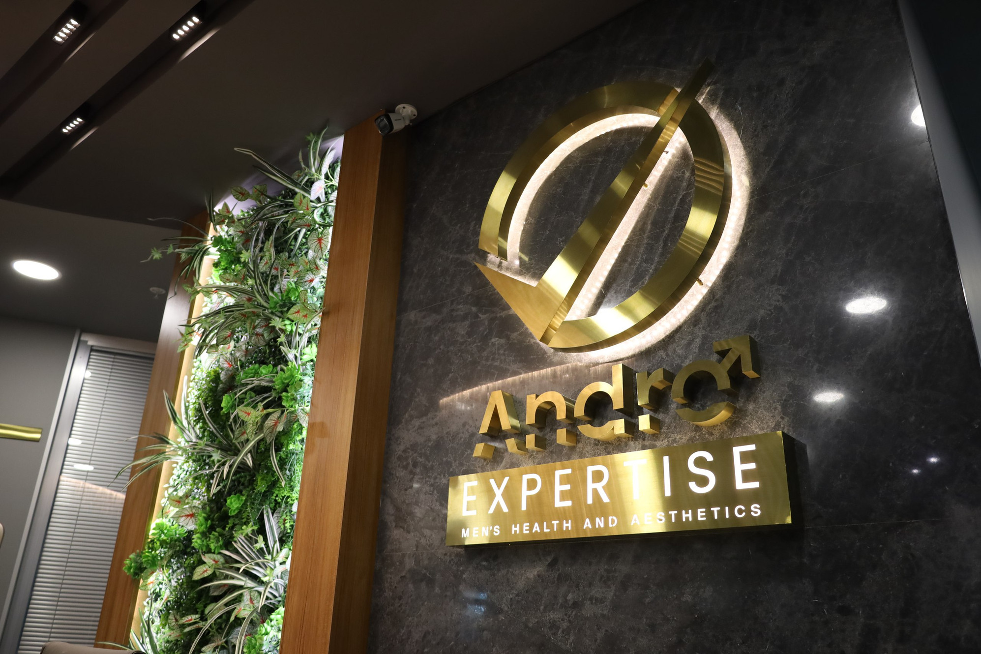 Andro Expertise Men's Health and Aesthetics gold logo mounted on marble wall in the clinic lobby